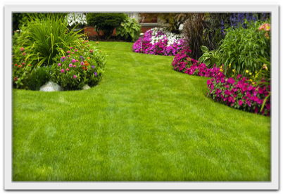 altlawn