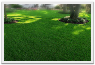 hazylawn