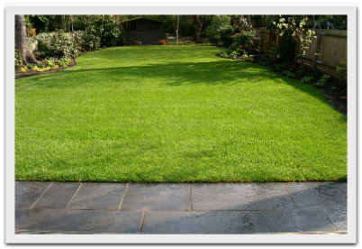 backlawn